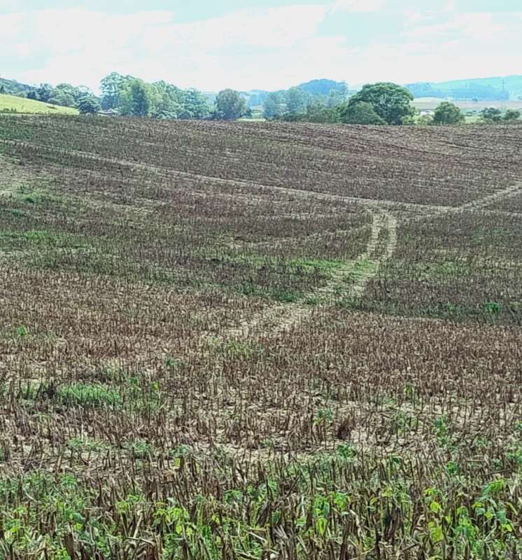 Chácara, 1 quarto, 68 hectares - Foto 11