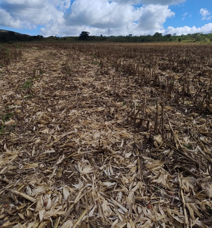 Chácara, 1 quarto, 68 hectares - Foto 14
