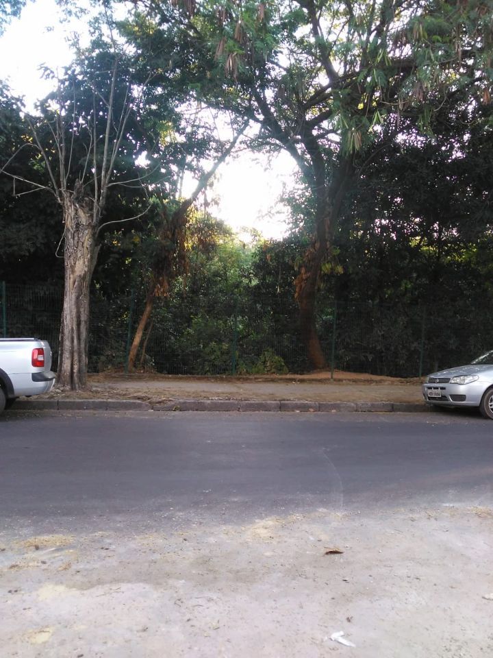 Apartamento, 3 quartos, 80 m² - Foto 14