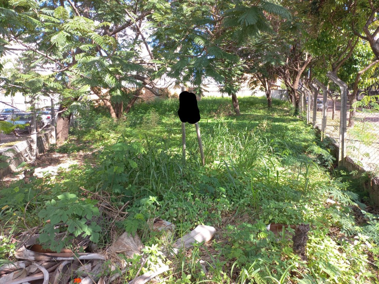 Terreno, 1017 m² - Foto 2