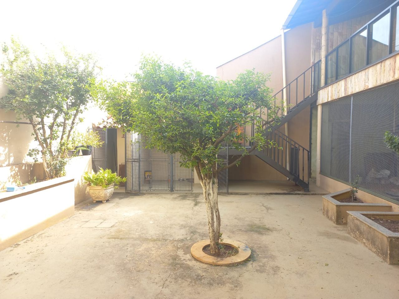 Casa, 4 quartos, 481 m² - Foto 14