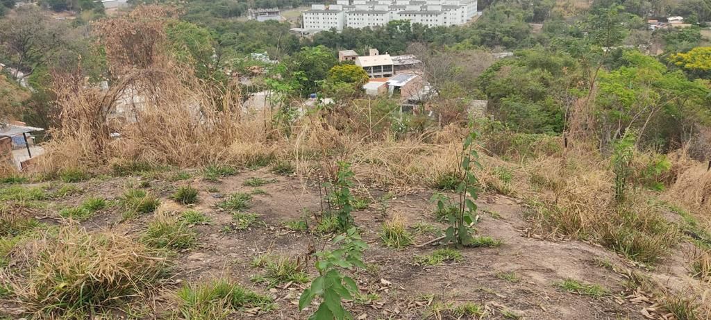 Terreno, 200 m² - Foto 3