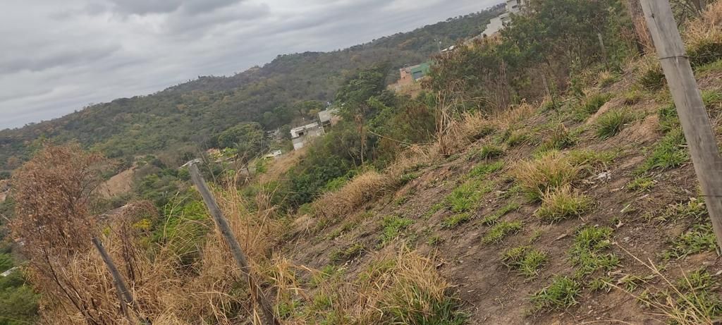 Terreno, 200 m² - Foto 8