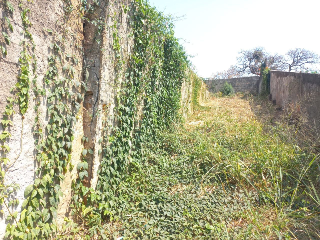 Terreno, 360 m² - Foto 6