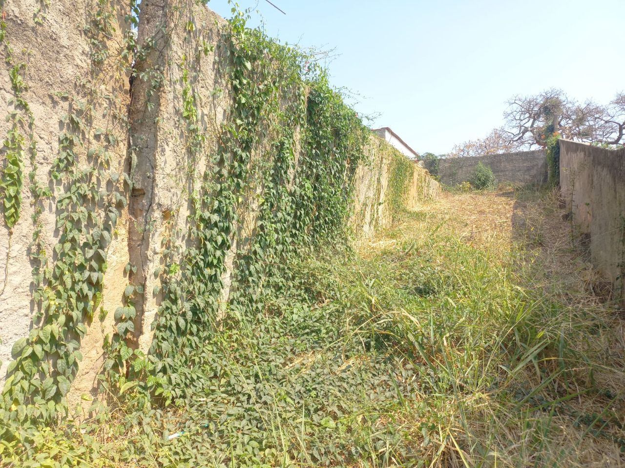 Terreno, 360 m² - Foto 7