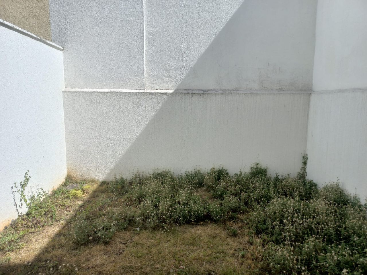 Casa, 3 quartos, 102 m² - Foto 19