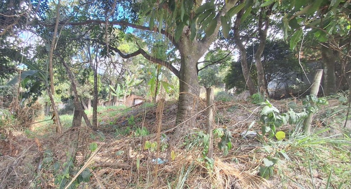 Terreno, 1440 m² - Foto 8