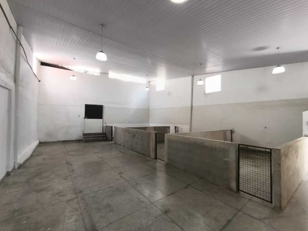 Depósito-Galpão, 138 m² - Foto 3