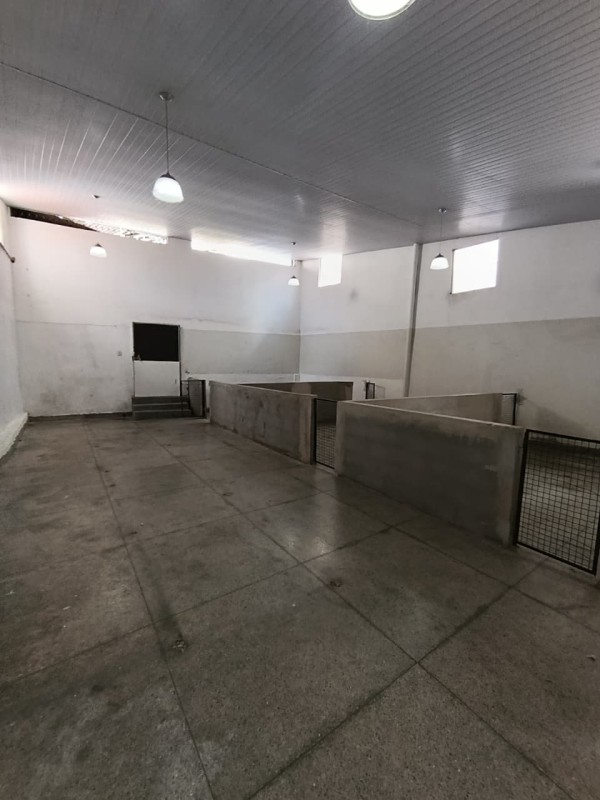 Depósito-Galpão, 138 m² - Foto 2