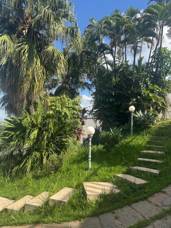 Casa, 3 quartos, 500 m² - Foto 4