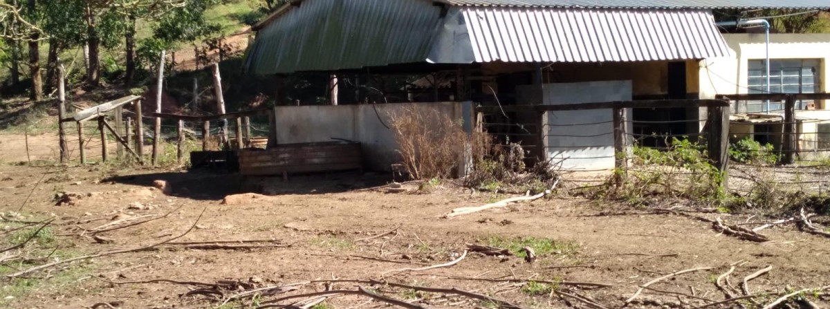 Chácara, 1 quarto, 102 hectares - Foto 6