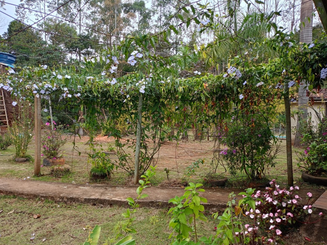 Loja-Salão, 570 m² - Foto 8