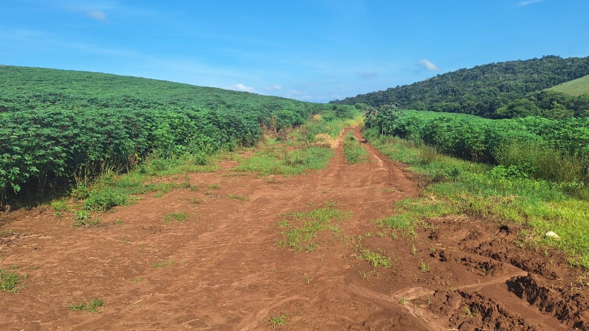 Fazenda, 116 hectares - Foto 5