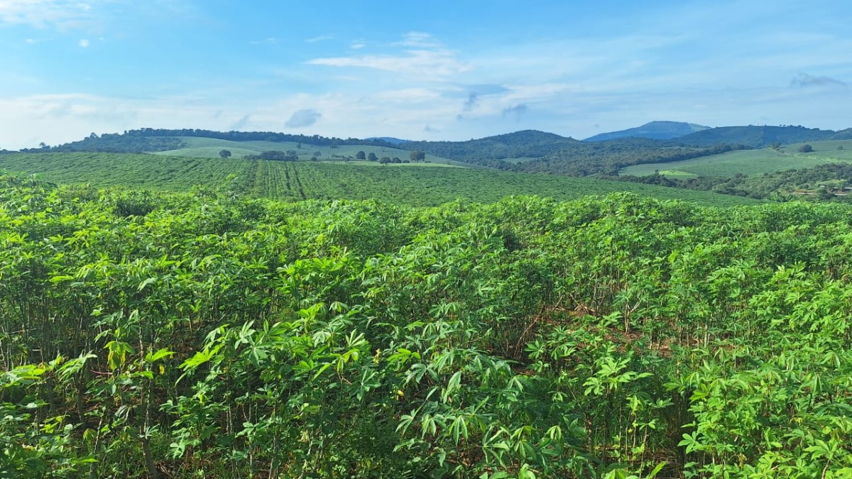 Fazenda, 116 hectares - Foto 3