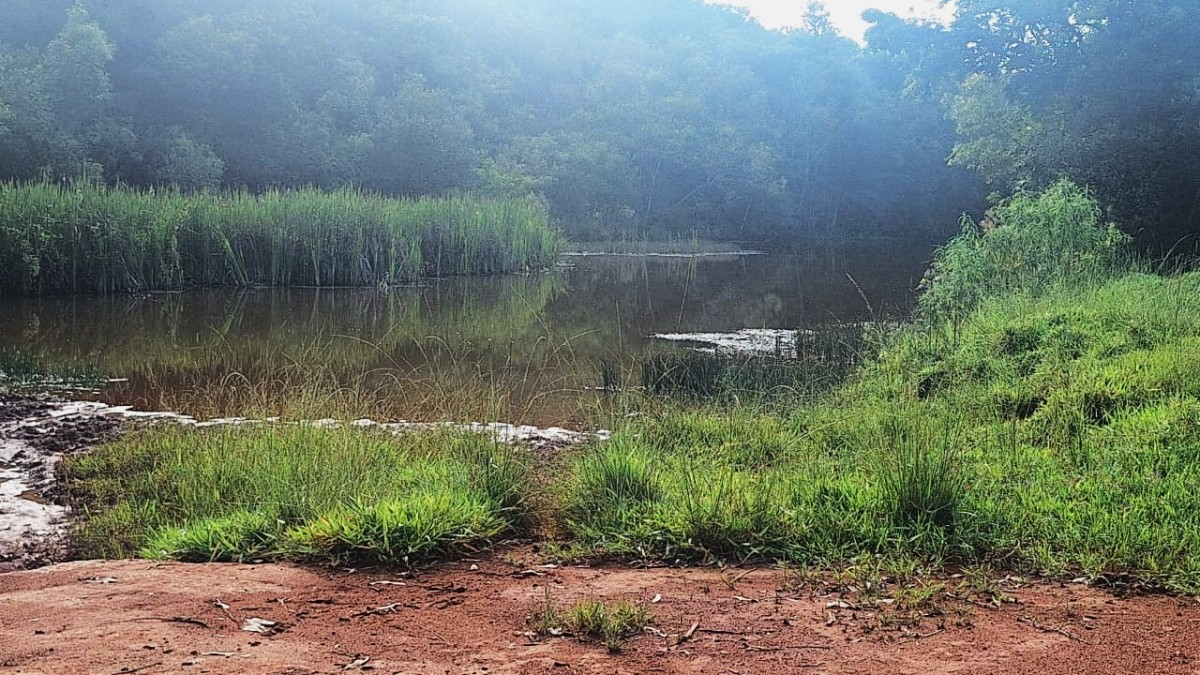 Fazenda, 116 hectares - Foto 13