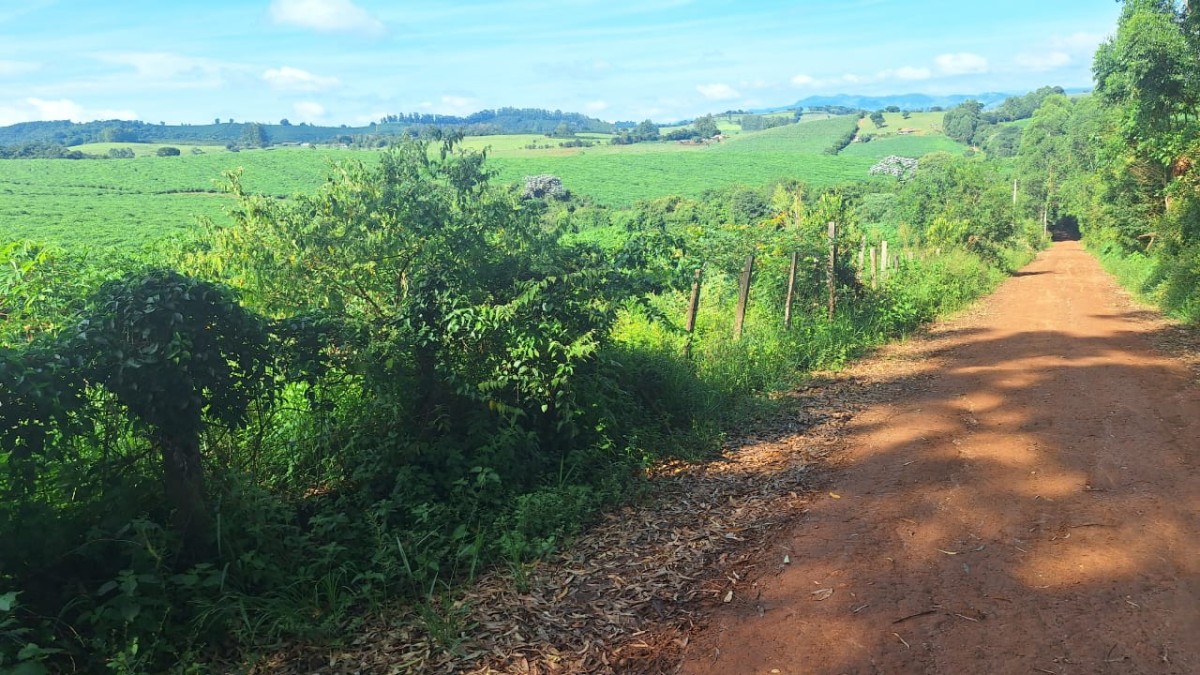 Fazenda, 116 hectares - Foto 11