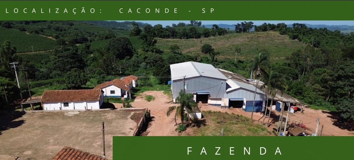 Fazenda, 196 hectares - Foto 1