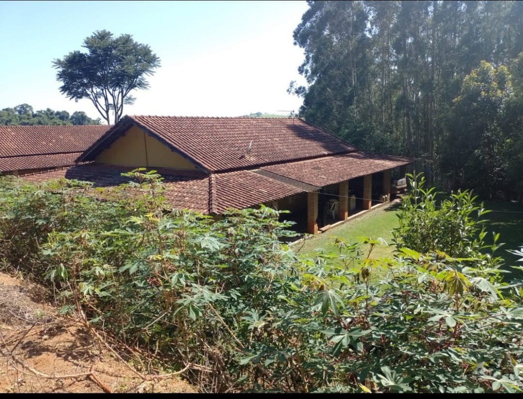 Fazenda, 4114 hectares - Foto 16