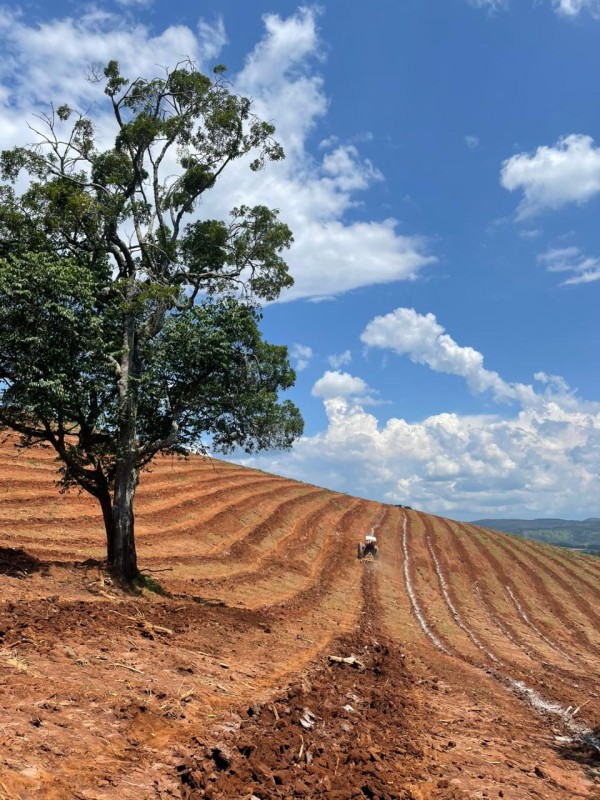 Fazenda, 120 hectares - Foto 9