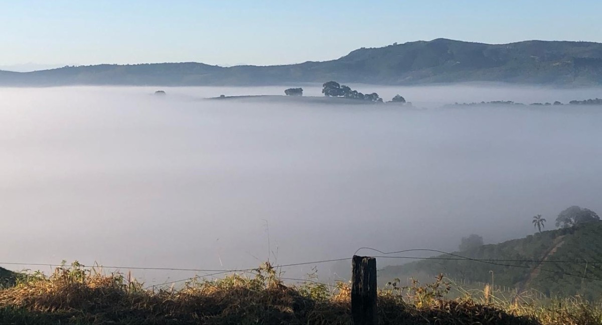 Fazenda, 120 hectares - Foto 21