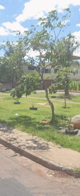 Terreno, 200 m² - Foto 7