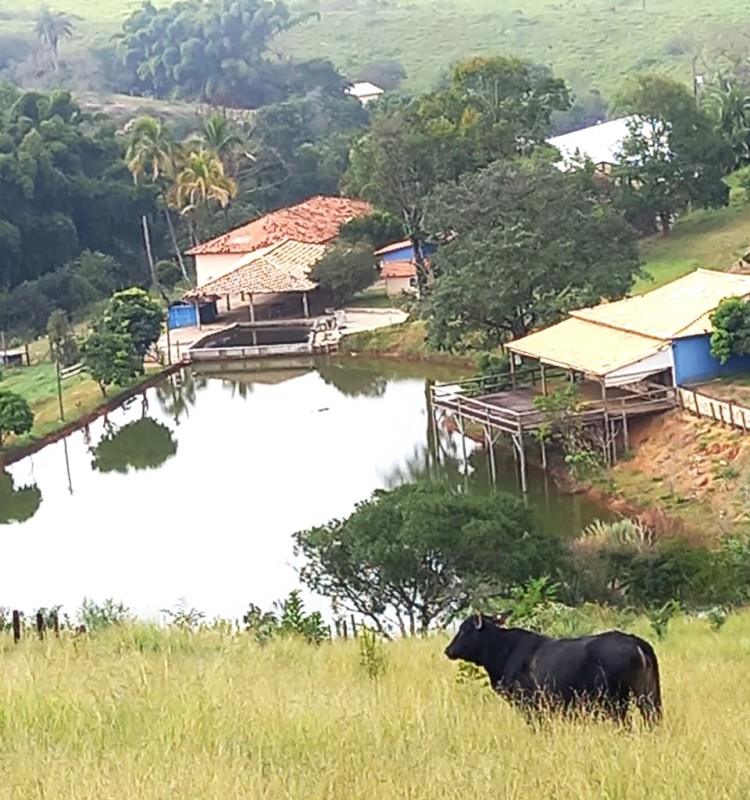 Fazenda, 194 hectares - Foto 6