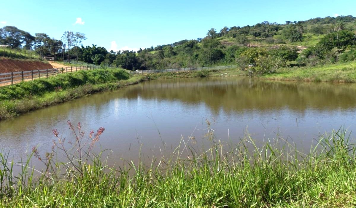 Fazenda, 194 hectares - Foto 10