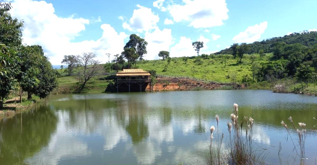 Fazenda, 194 hectares - Foto 9