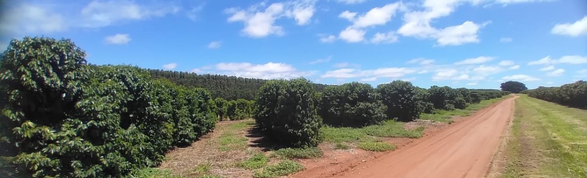 Chácara, 1 quarto, 277 hectares - Foto 11