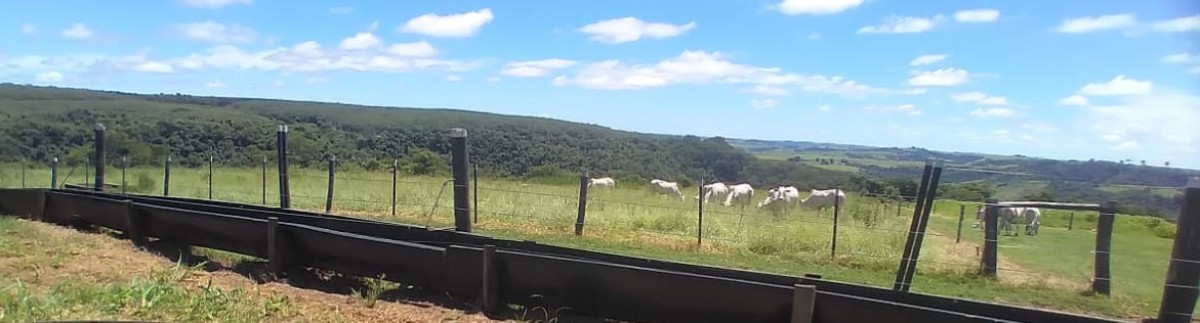 Chácara, 1 quarto, 277 hectares - Foto 13