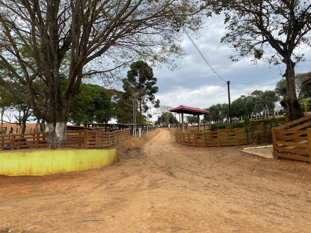 Fazenda, 91 hectares - Foto 1