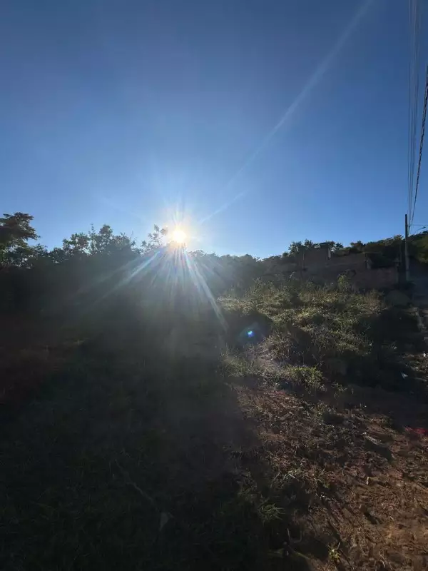 Chácara, 1 quarto, 5000 m² - Foto 3