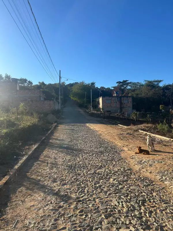 Chácara, 1 quarto, 5000 m² - Foto 10
