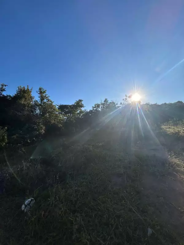 Chácara, 1 quarto, 5000 m² - Foto 2