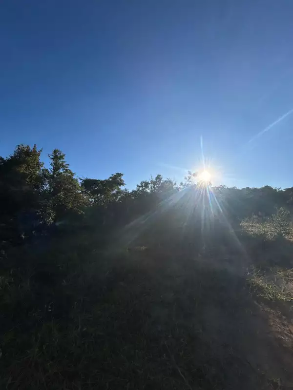 Chácara, 1 quarto, 5000 m² - Foto 7