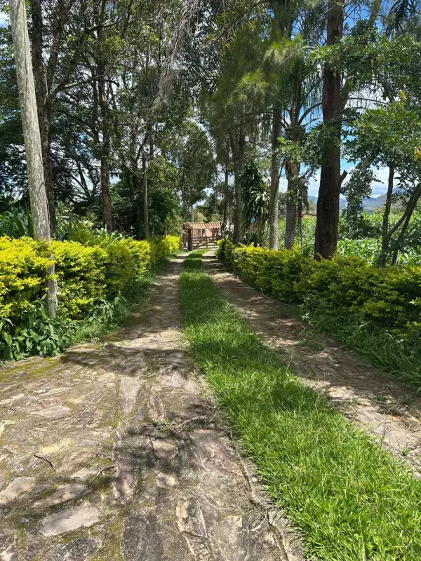 Fazenda / Sítios / Chácaras 3 quartos à venda em Glaura, Ouro Preto - MG