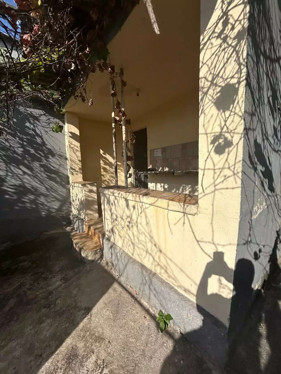 Prédio / Edifício Inteiro 23 quartos à venda em Nova Suíssa, Belo Horizonte - MG - foto 10