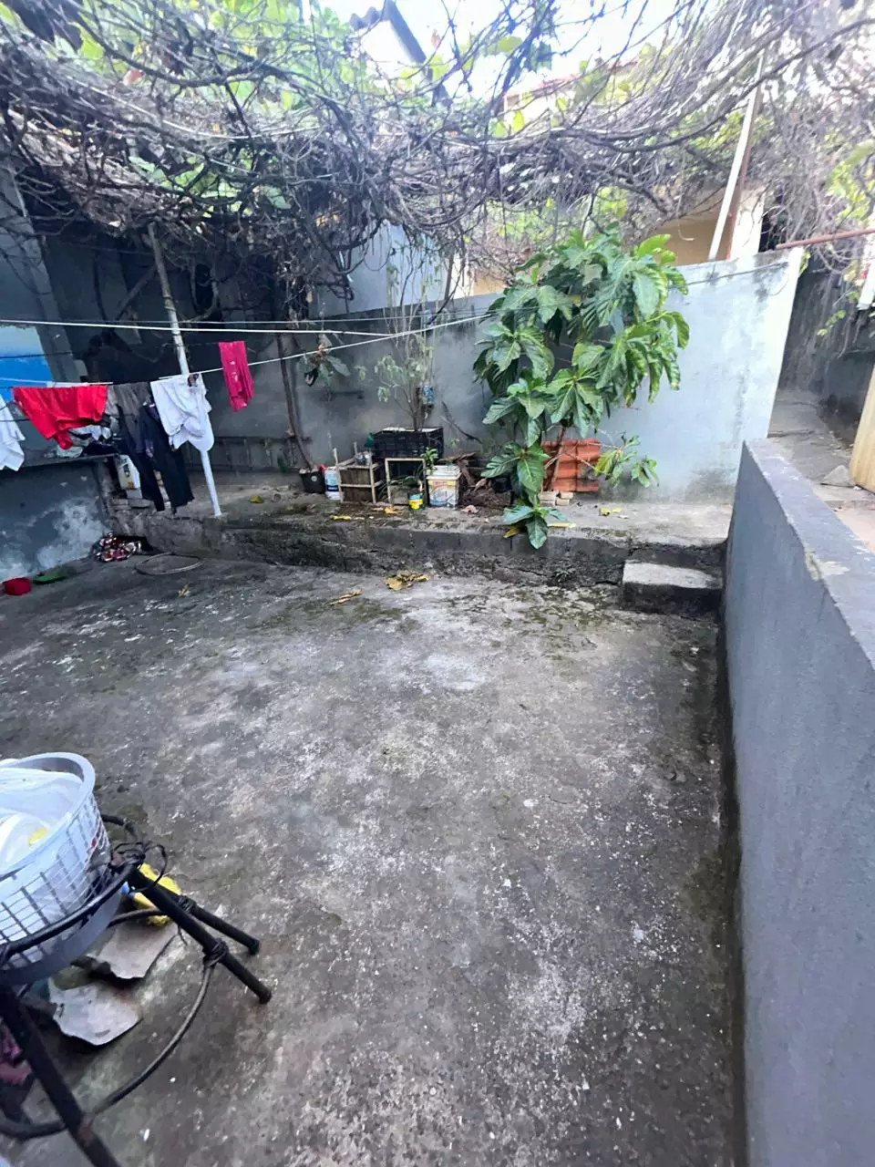 Prédio / Edifício Inteiro 23 quartos à venda em Nova Suíssa, Belo Horizonte - MG - foto 13