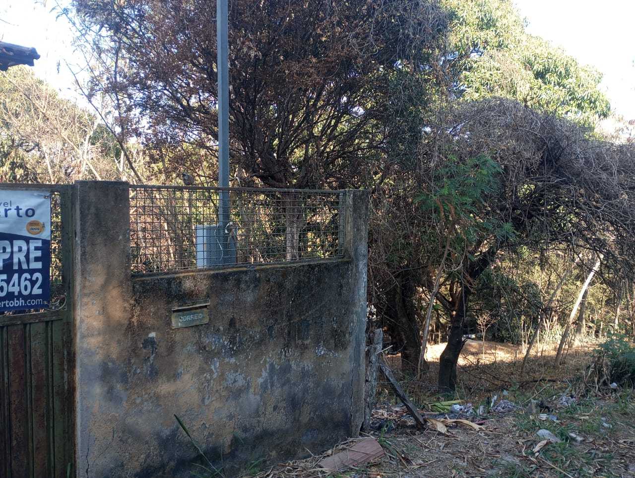 Terreno, 6290 m² - Foto 3