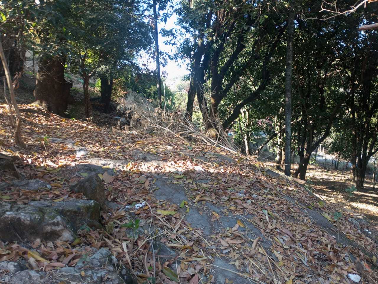 Terreno, 6290 m² - Foto 2