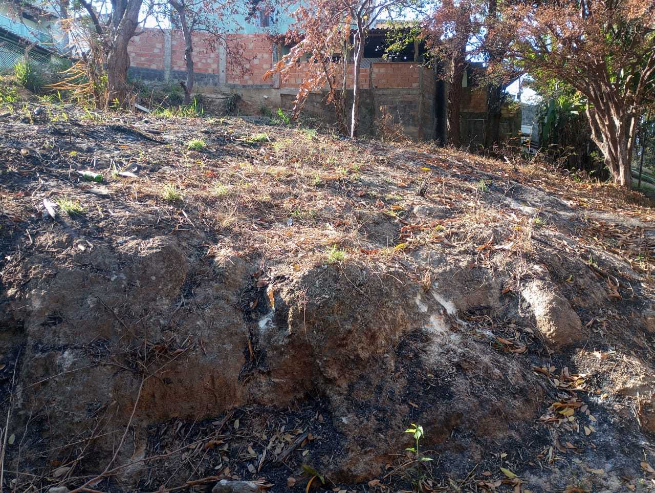 Terreno, 6290 m² - Foto 6