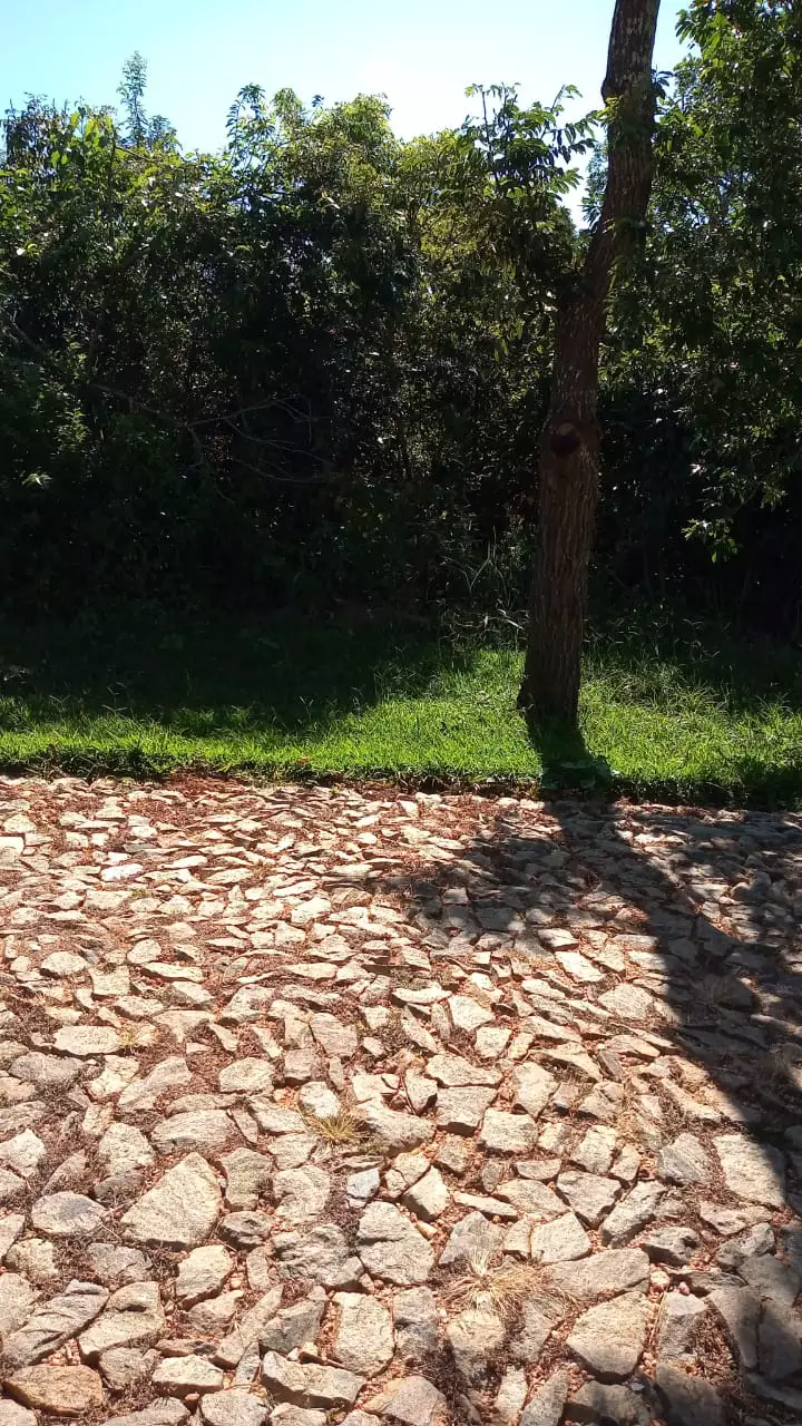 Terreno, 1291 m² - Foto 4