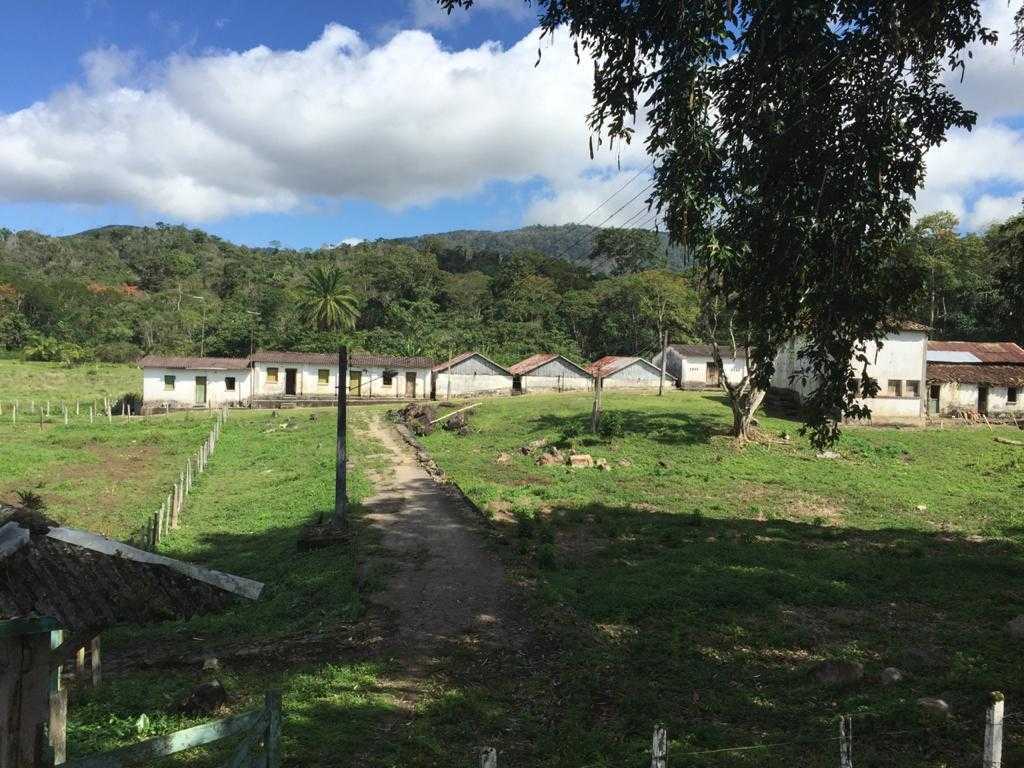 Fazenda / Sítios / Chácaras 5 quartos à venda em Rural Itajuipe, Itajuípe - BA