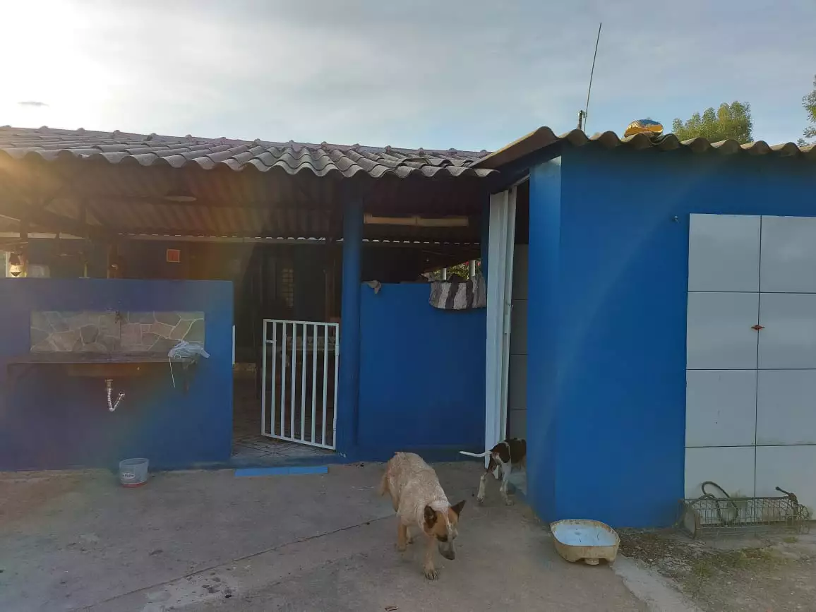 Chácara, 5 quartos - Foto 18