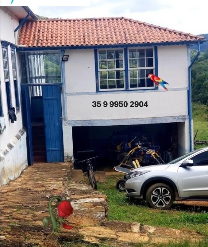 Fazenda, 190 hectares - Foto 3