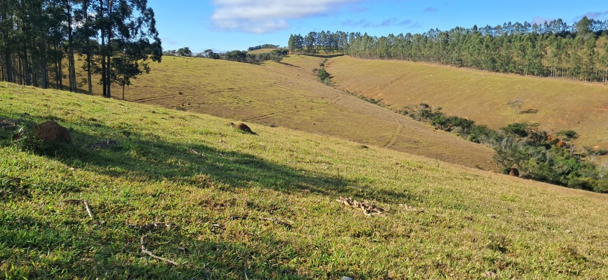Fazenda, 229 hectares - Foto 19