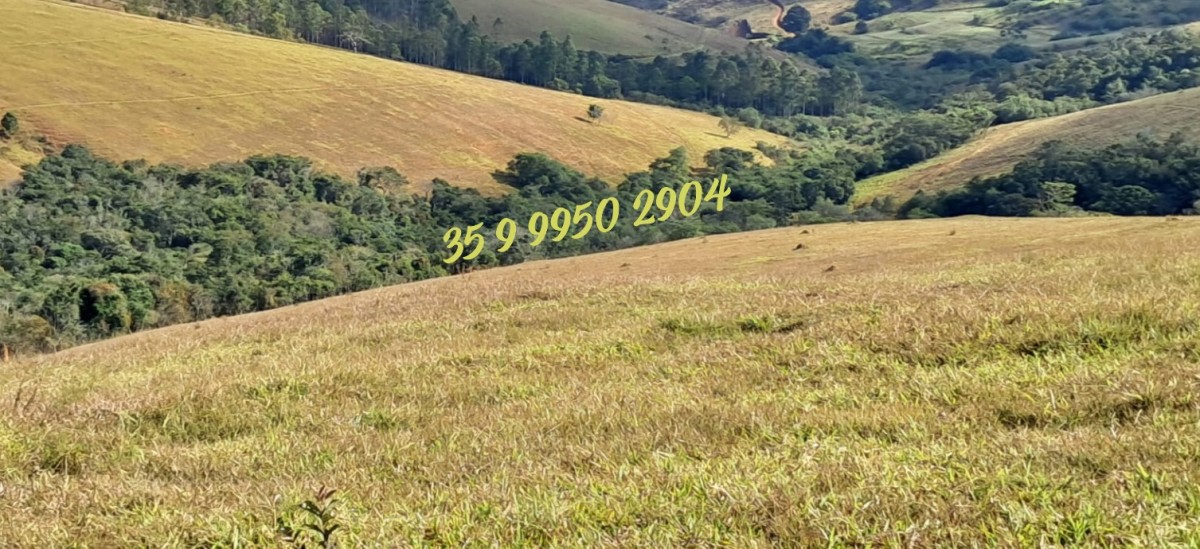 Fazenda, 229 hectares - Foto 8