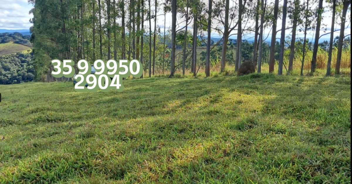 Fazenda, 229 hectares - Foto 23