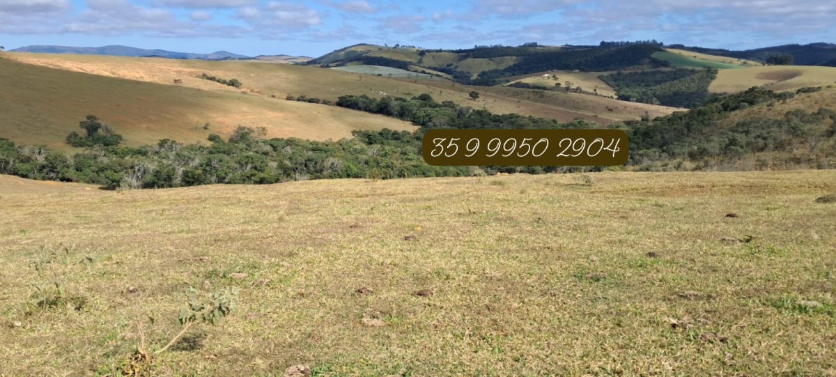 Fazenda, 229 hectares - Foto 11