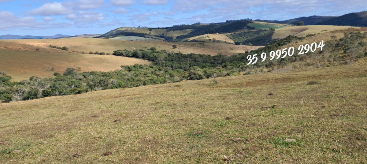 Fazenda, 229 hectares - Foto 12